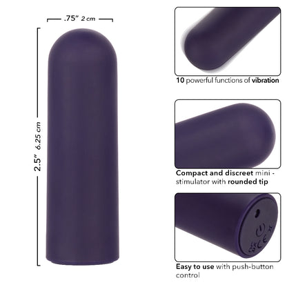 Turbo Buzz Rounded Mini Bullet - Purple SE0061422