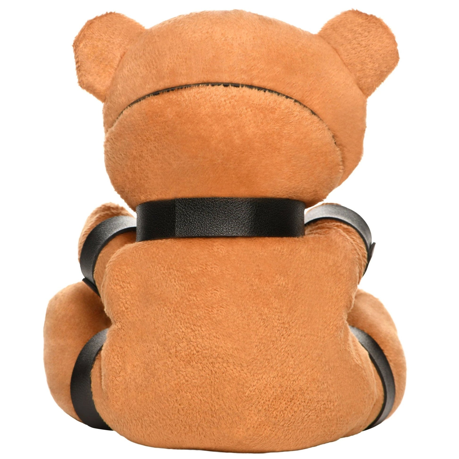 Gagged Teddy Bear Plush MS-AH215