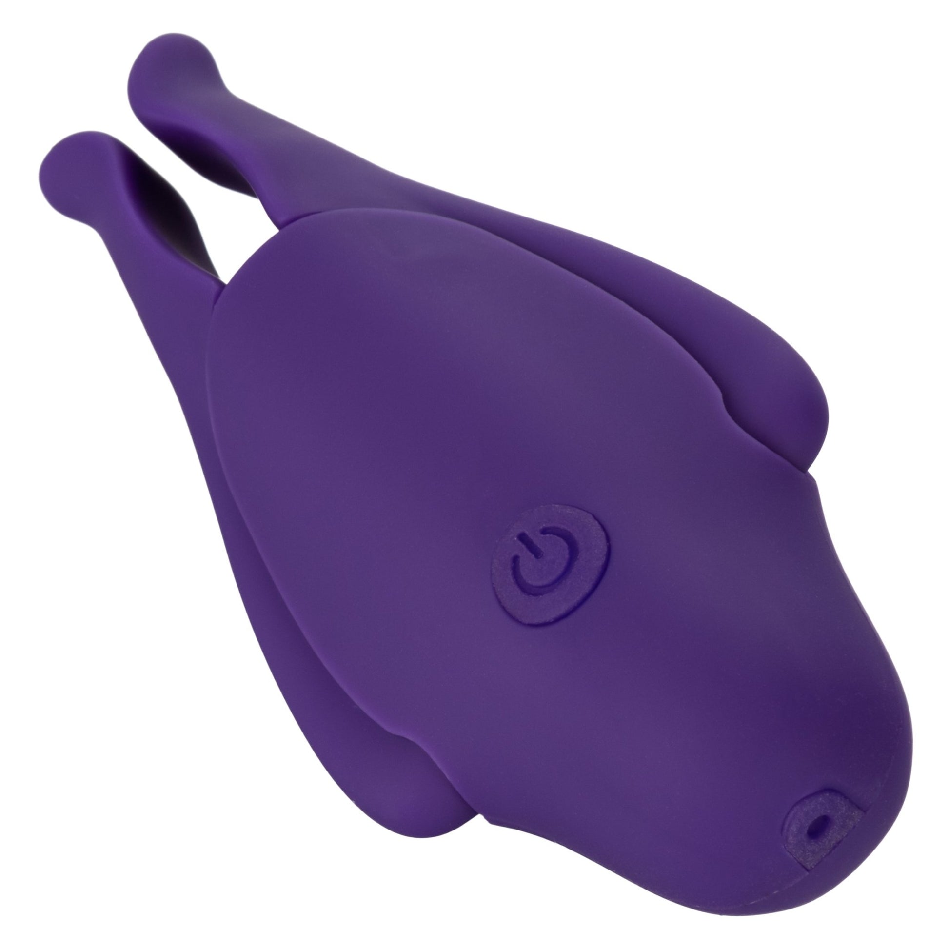 Nipple Play Rechargeable Nipplettes - Purple SE2589552