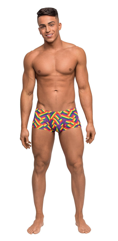 Pride Fest - Mini Short - Medium - Print MP-145240PRM