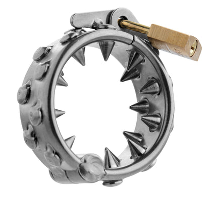 Impaler Locking Cbt Ring With Spikes MS-AE842