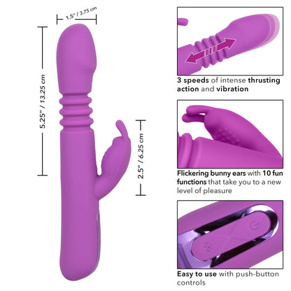 Jack Rabbit Elite Thrusting Rabbit - Purple SE0615153