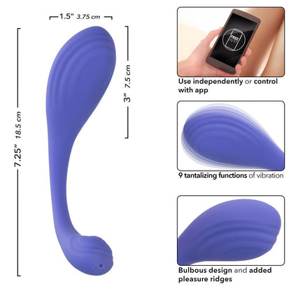 Calexotics Connect Kegel Exerciser - Periwinkle SE0001103