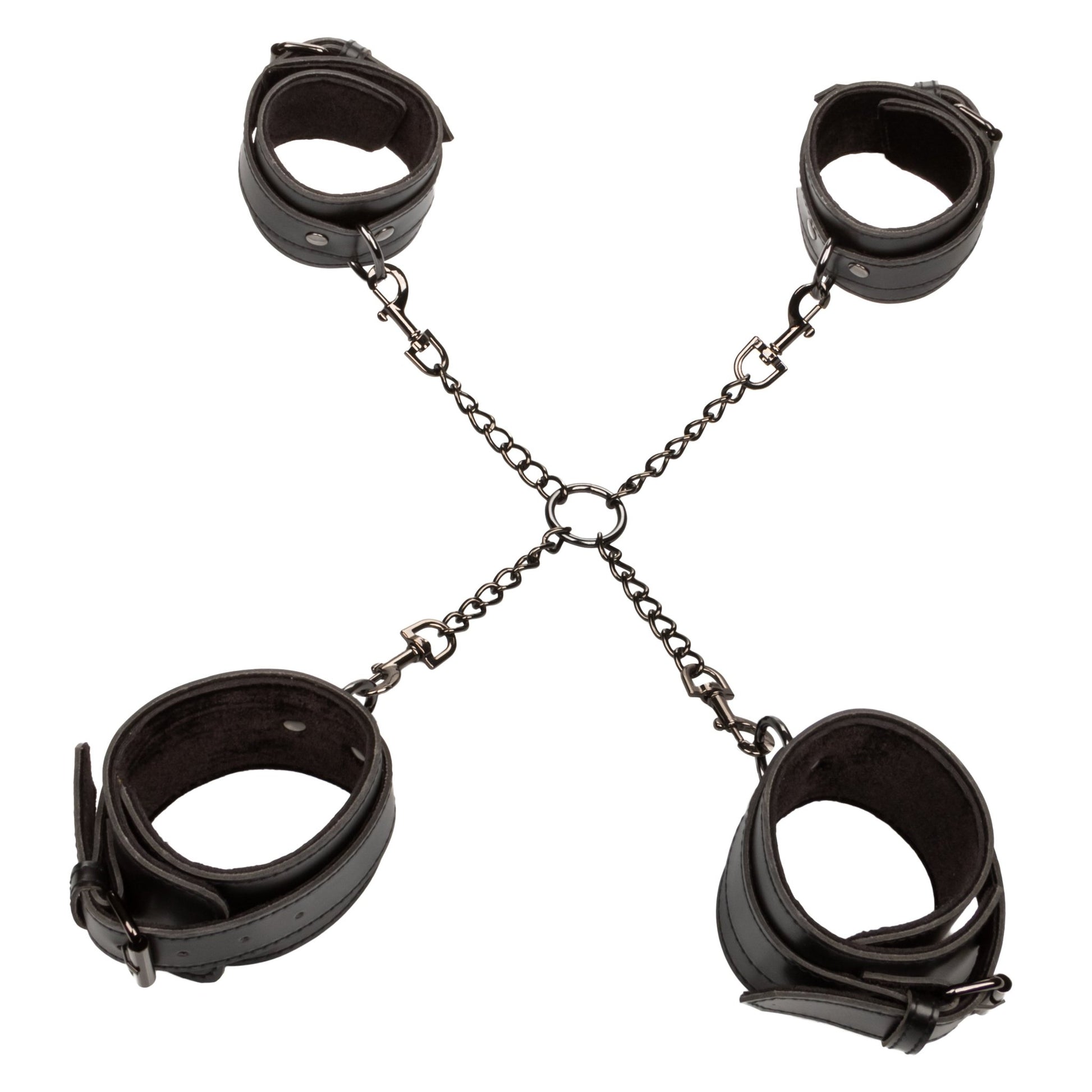 Euphoria Collection Hog Tie - Black SE3100153