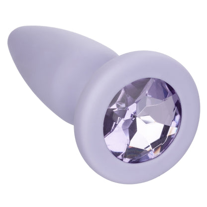 First Time Crystal Booty Kit - Purple SE0004402