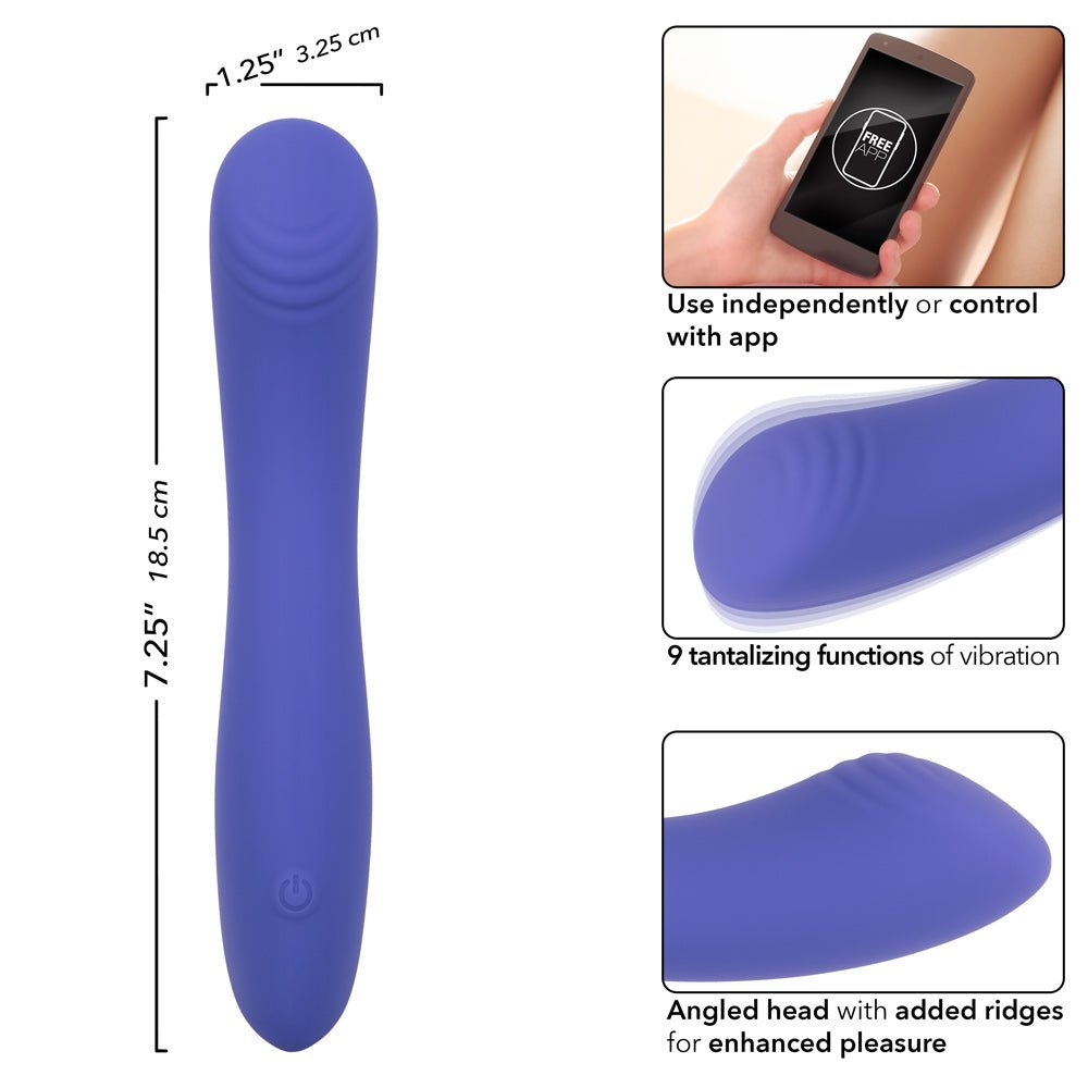 Calexotics Connect Contoured G - Periwinkle SE0001153